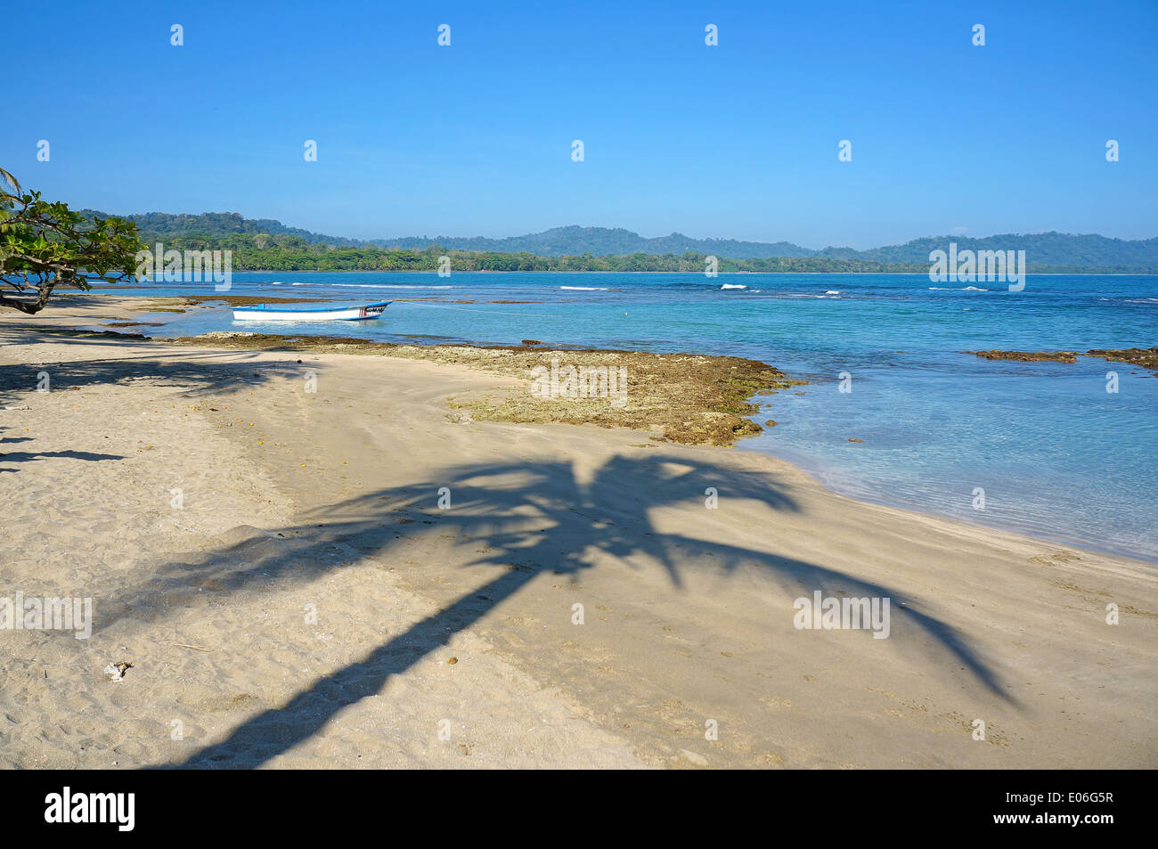 Schatten der Palme an einem ruhigen Strand, Karibik, Puerto Viejo de Talamanca, Costa Rica Stockfoto