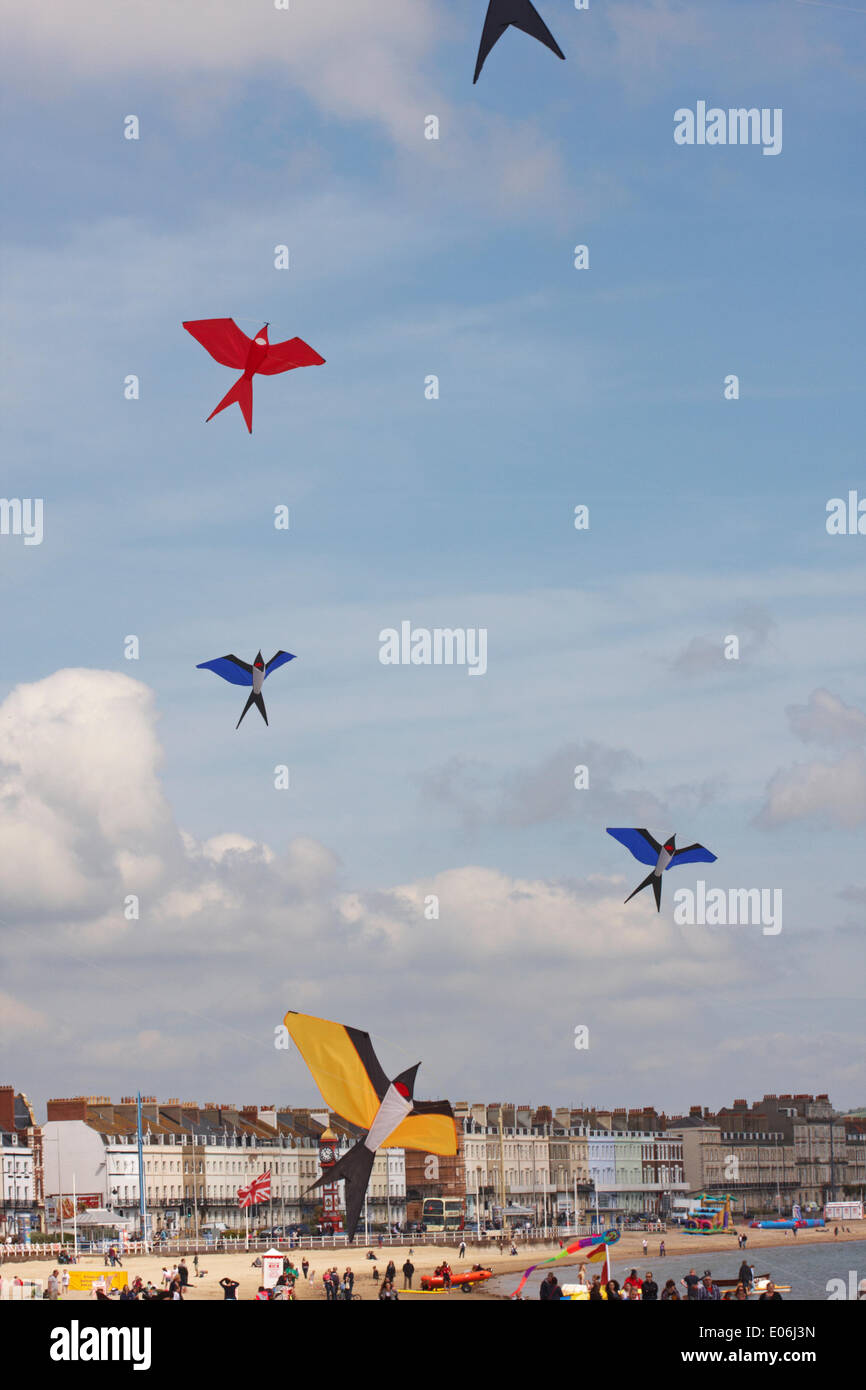 Weymouth, Dorset UK. 04.. Mai 2014. Besucher können beim Weymouth Kite Festival die Vielfalt der farbenfrohen Drachen am Himmel zu Musik tanzen sehen, die wie Vögel geformt sind, die am blauen Himmel fliegen. Kredit: Carolyn Jenkins/Alamy Live News Stockfoto