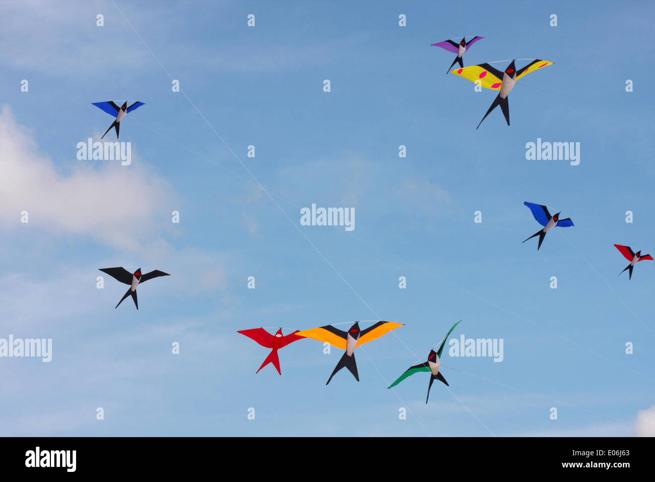 Weymouth, Dorset UK. 04.. Mai 2014. Beim Weymouth Kite Festival können Besucher die Vielfalt der bunten Drachen beobachten, die zu Musik am Himmel tanzen. Drachen in Form von Vögeln, die am blauen Himmel fliegen. Kredit: Carolyn Jenkins/Alamy Live News Stockfoto