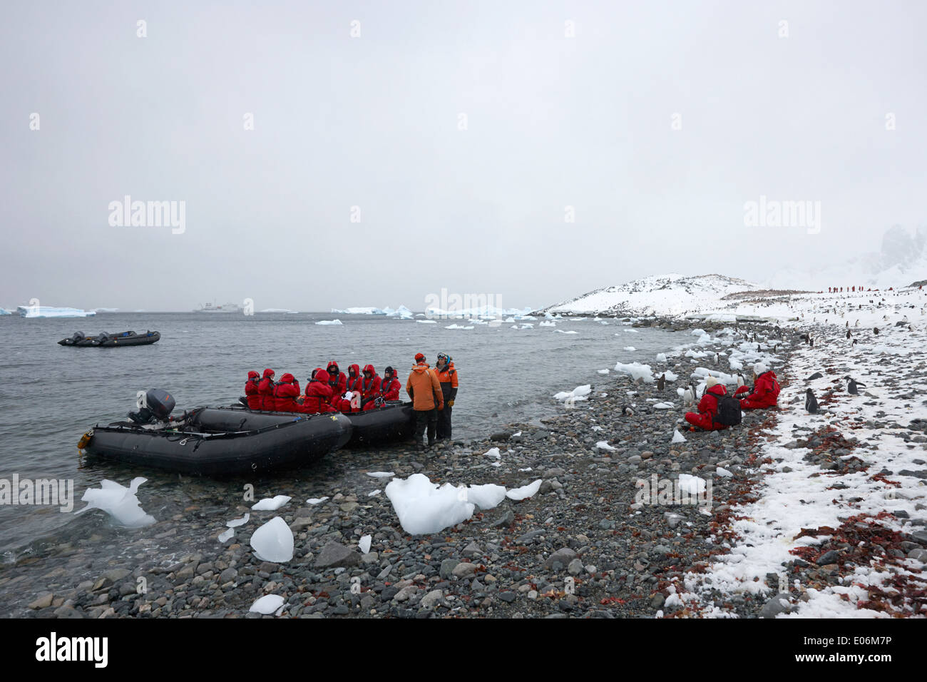 Menschen auf Landausflügen von Expedition liefern in Gentoo-Pinguin-Kolonie in der Antarktis Cuverville island Stockfoto