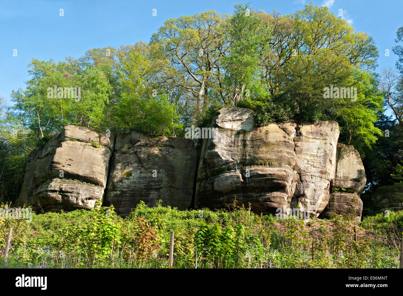 Sandstein Felsvorsprungs, hohen Felsen in Tunbridge Wells, UK Stockfoto