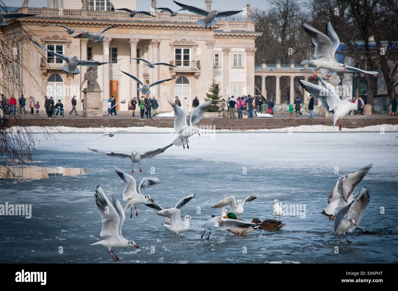 Wasserpalast im Lazienki Park (Königlichen Bäder) in Warschau, Polen Stockfoto