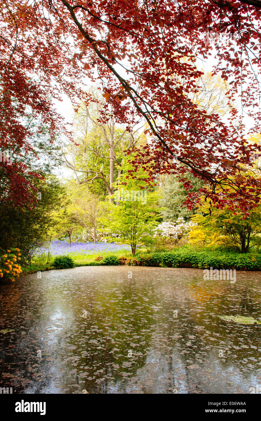 Garten Pool, umgeben von Bäumen im Frühsommer in der National Trust Unterkunft Wightwick Manor in Wolverhampton Stockfoto