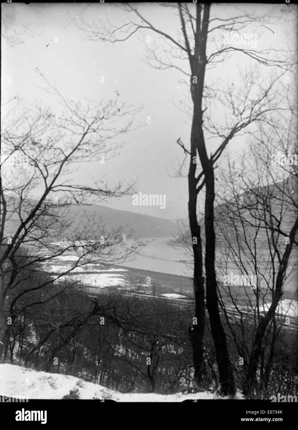 Dieses Kunstwerk mit dem Titel „Le Rhin près de Rüdesheim“ zeigt die malerische Schönheit des Rheins bei Rüdesheim, Hessen, und fängt seine natürliche Landschaft und seine ruhige Atmosphäre ein. Sie befindet sich in der Bibliothèque de Toulouse. Stockfoto