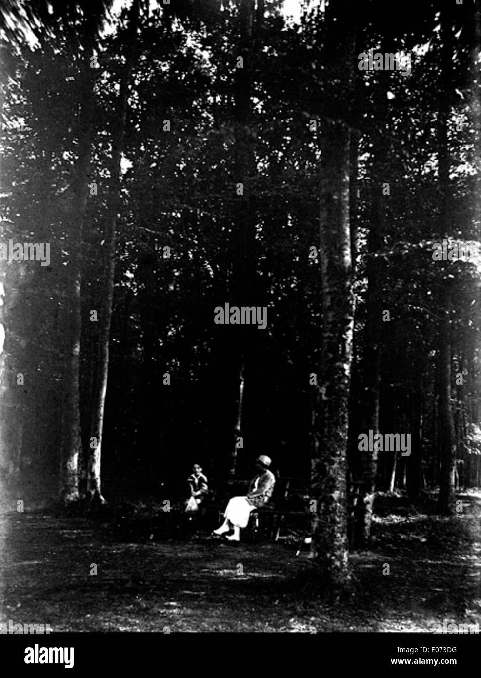 Mutter und Sohn sitzen im Wald, ein Porträt aus Deutschland, das in der Bibliothèque de Toulouse untergebracht ist, das einen intimen Moment in einer natürlichen Umgebung darstellt. Stockfoto