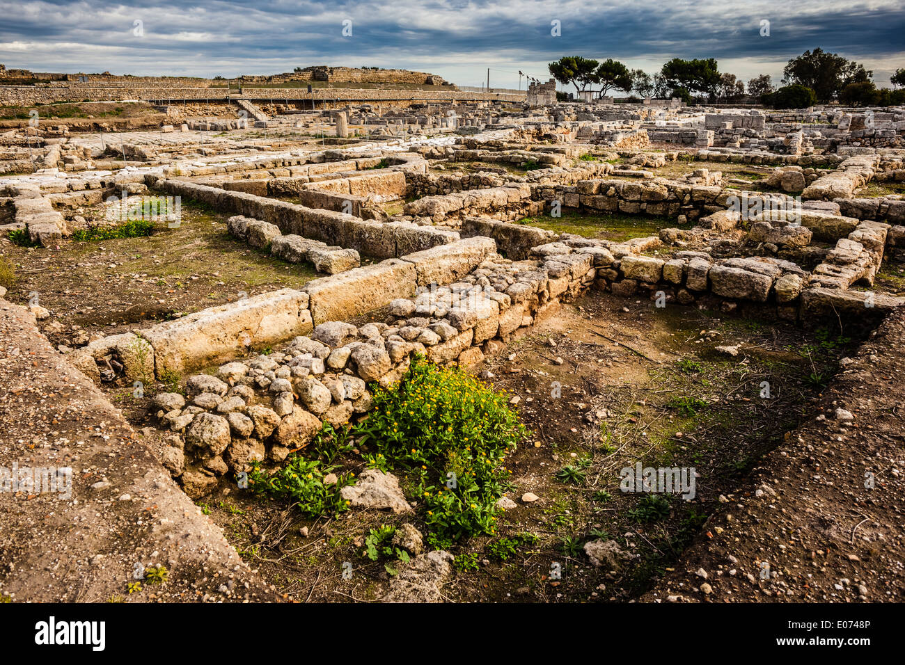 Ruinen einer alten italienischen Stadt namens Egnazia (Gnatia in englischer Sprache) Stockfoto
