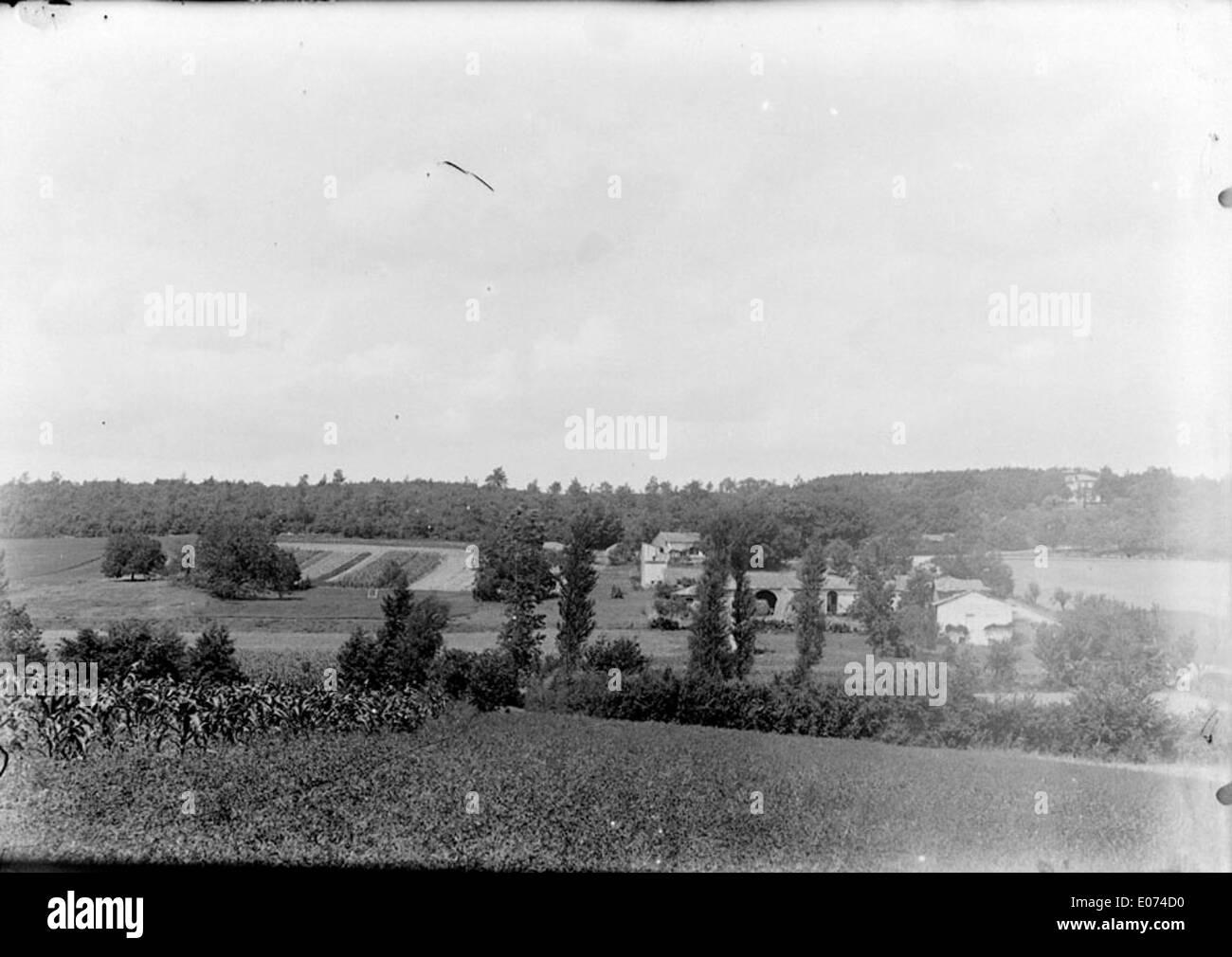 Dieses Gemälde mit dem Titel „Champs dans la Campagne“ (Felder auf dem Land) zeigt eine ländliche französische Landschaft. Die Szene fängt die natürliche Schönheit der französischen Landschaft mit Feldern und weit entfernten Bäumen unter einem ruhigen Himmel ein. Die Verwendung von Licht und Farbe des Künstlers vermittelt die friedliche und pastorale Natur des ländlichen Lebens in Frankreich. Stockfoto