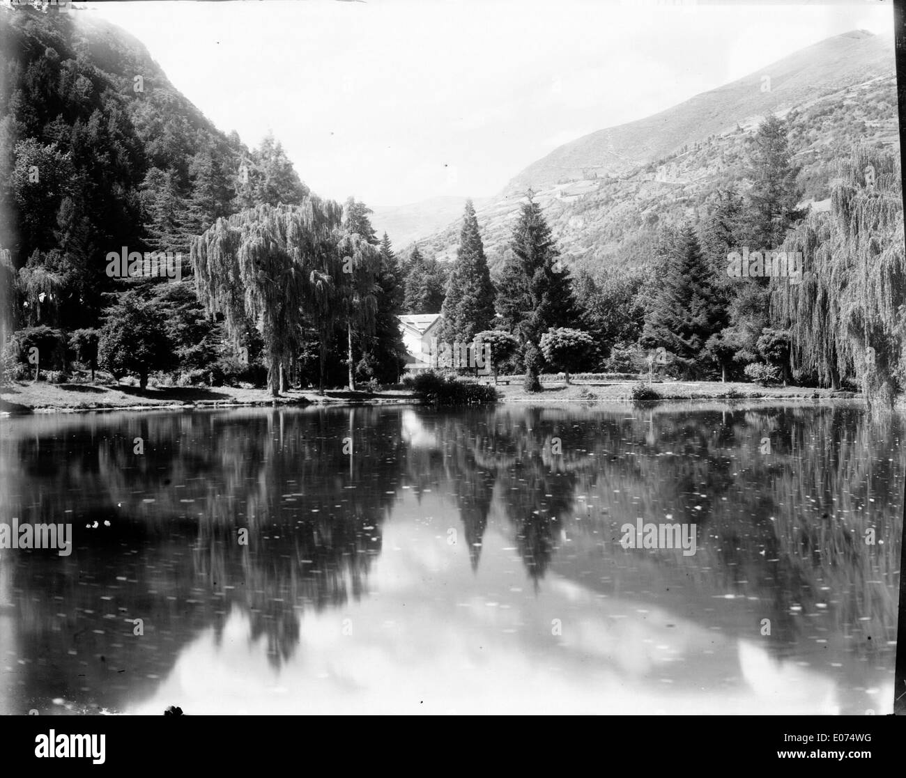 Ein Gemälde, das die Watsonia marginata illustriert, eine Zierpflanze, die für ihre lebendigen Blumen bekannt ist. Das Stück verbindet botanische Illustration mit Kunsttechniken. Stockfoto