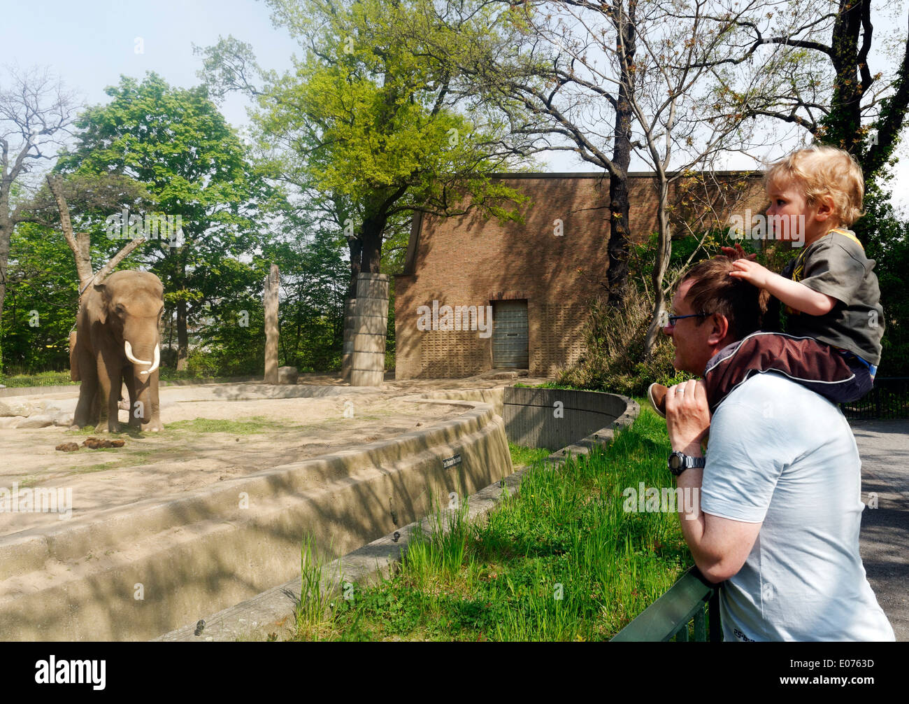 Ein kleiner Junge auf seinen Vater Schultern Blick auf die Elefanten im Zoo Berlin Stockfoto