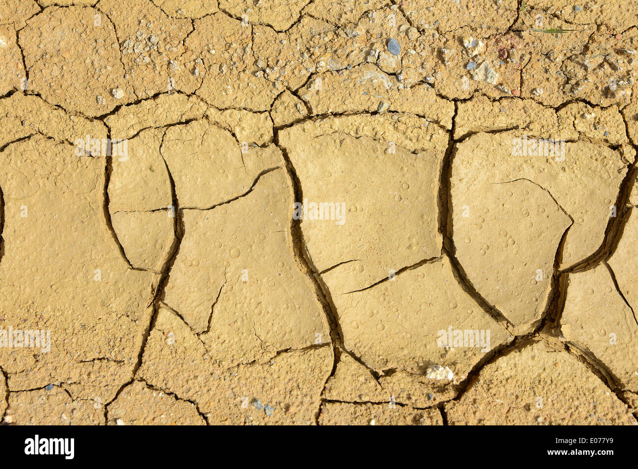 Nahaufnahme des trockenen Bodens in ariden Klima. Rissigen Boden in einer Wüste. Stockfoto