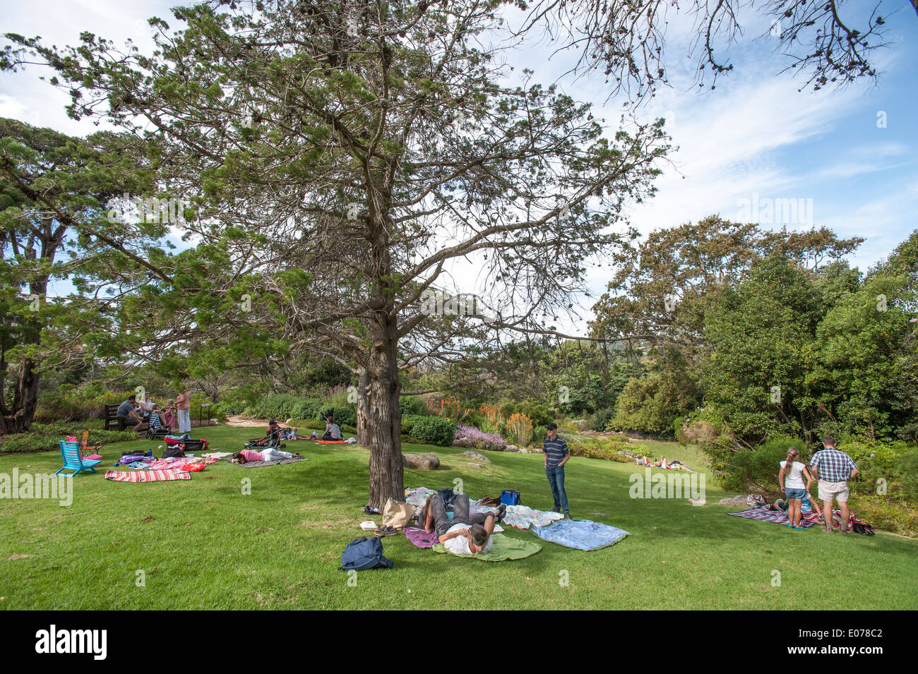 Besucher Picknicken im Botanischen Garten von Kirstenbosch, Cape Town, Südafrika Stockfoto