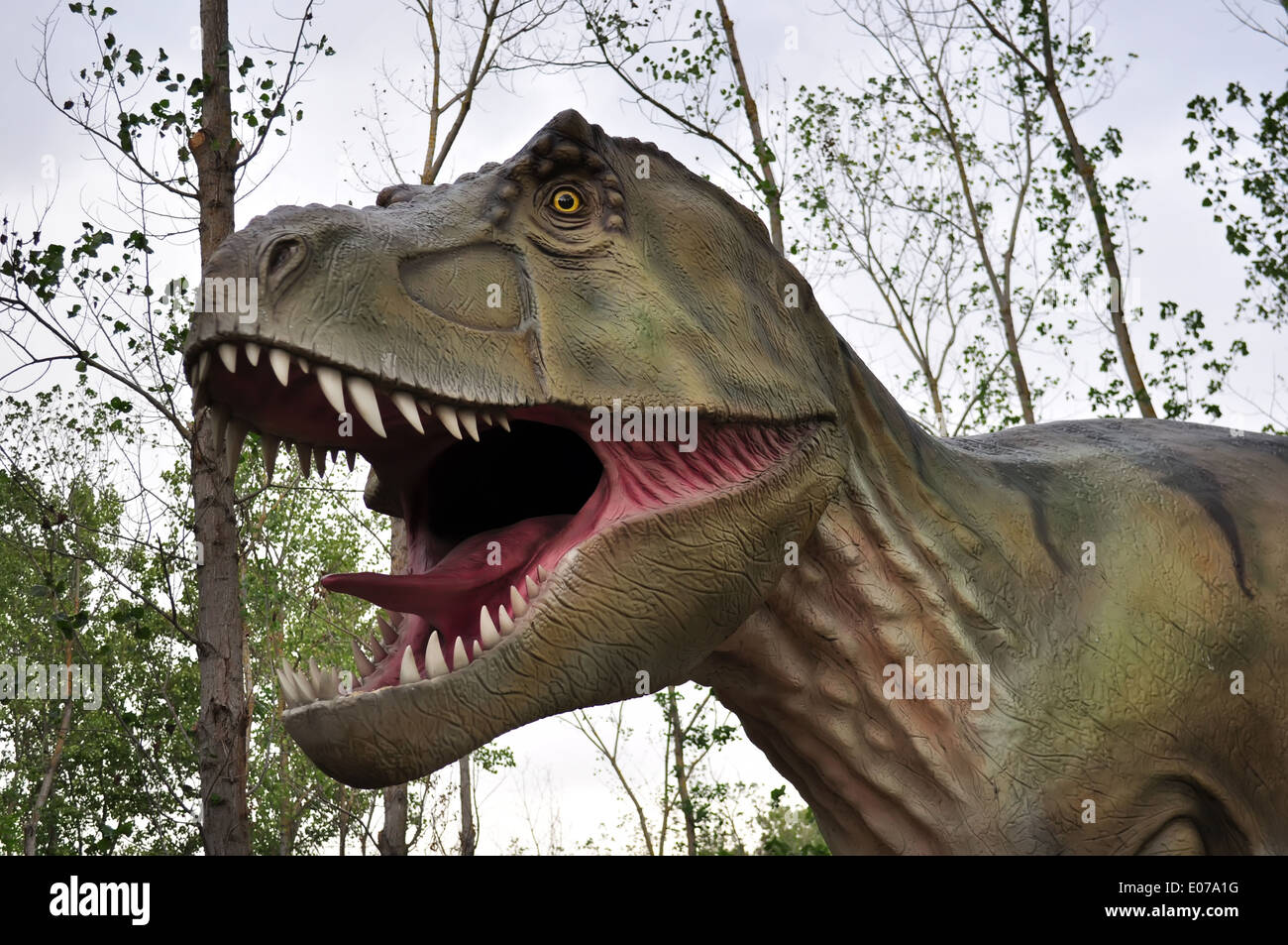 t-Rex Dinosaurier mit weit offenem Mund im Wald Stockfoto