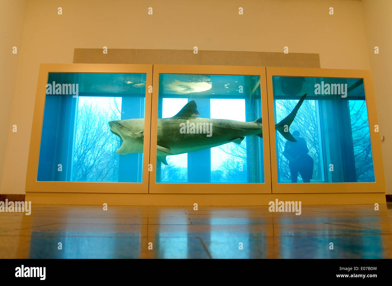 Die physische Unmöglichkeit des Todes im Verstand von jemand lebt, von Damien Hirst Stockfoto