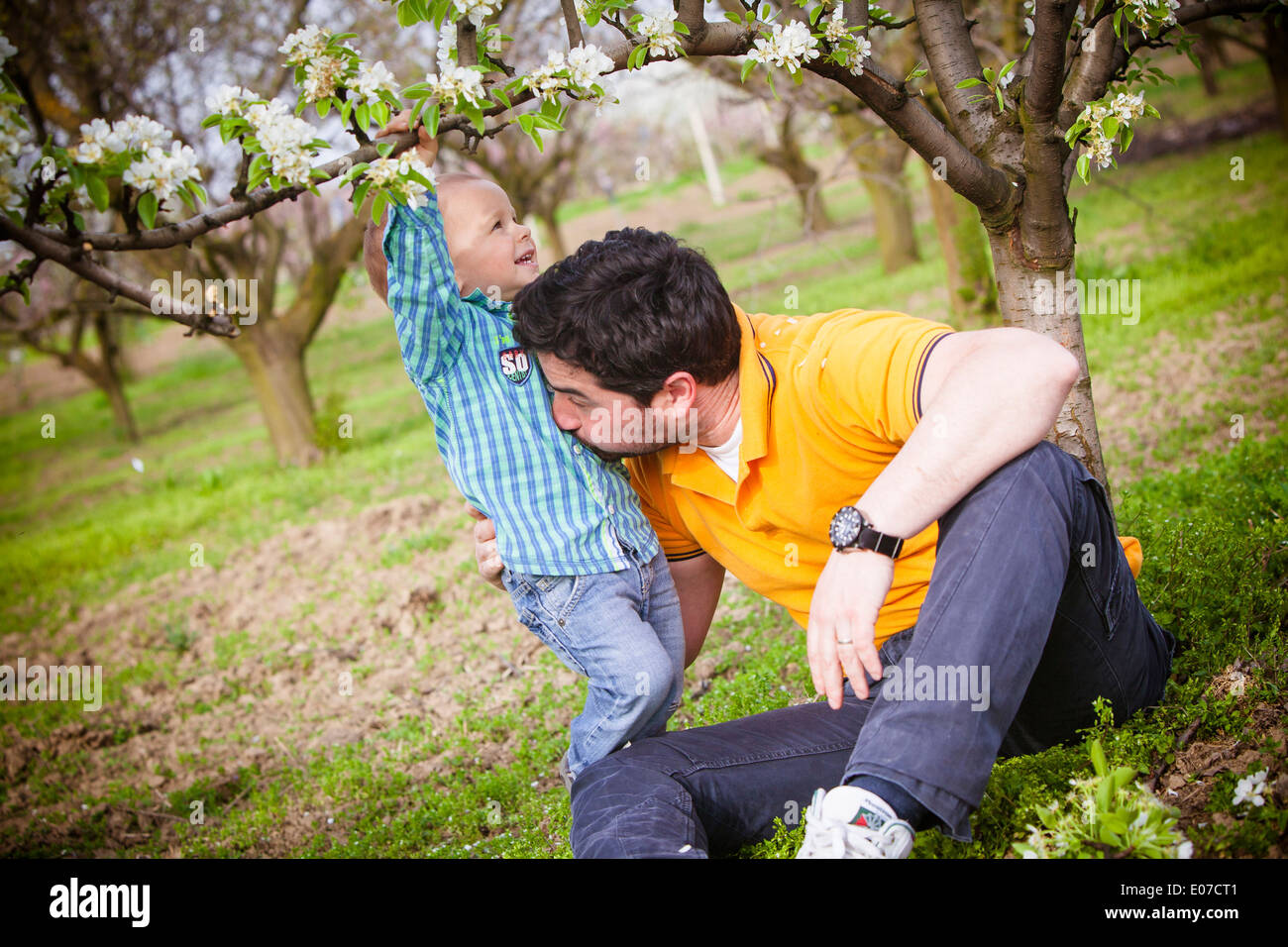Vater und Sohn täuschen über unter einem Kirschbaum, Österreich Stockfoto