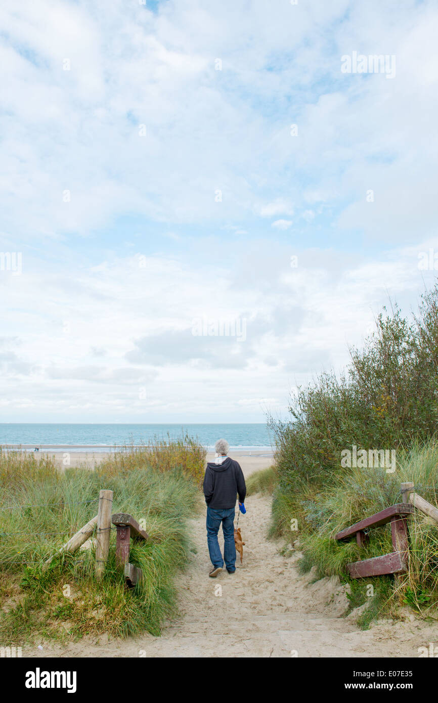 Mann zu Fuß Hund im Sand Weg zur holländischen Strand von Renesse  Stockfotografie - Alamy