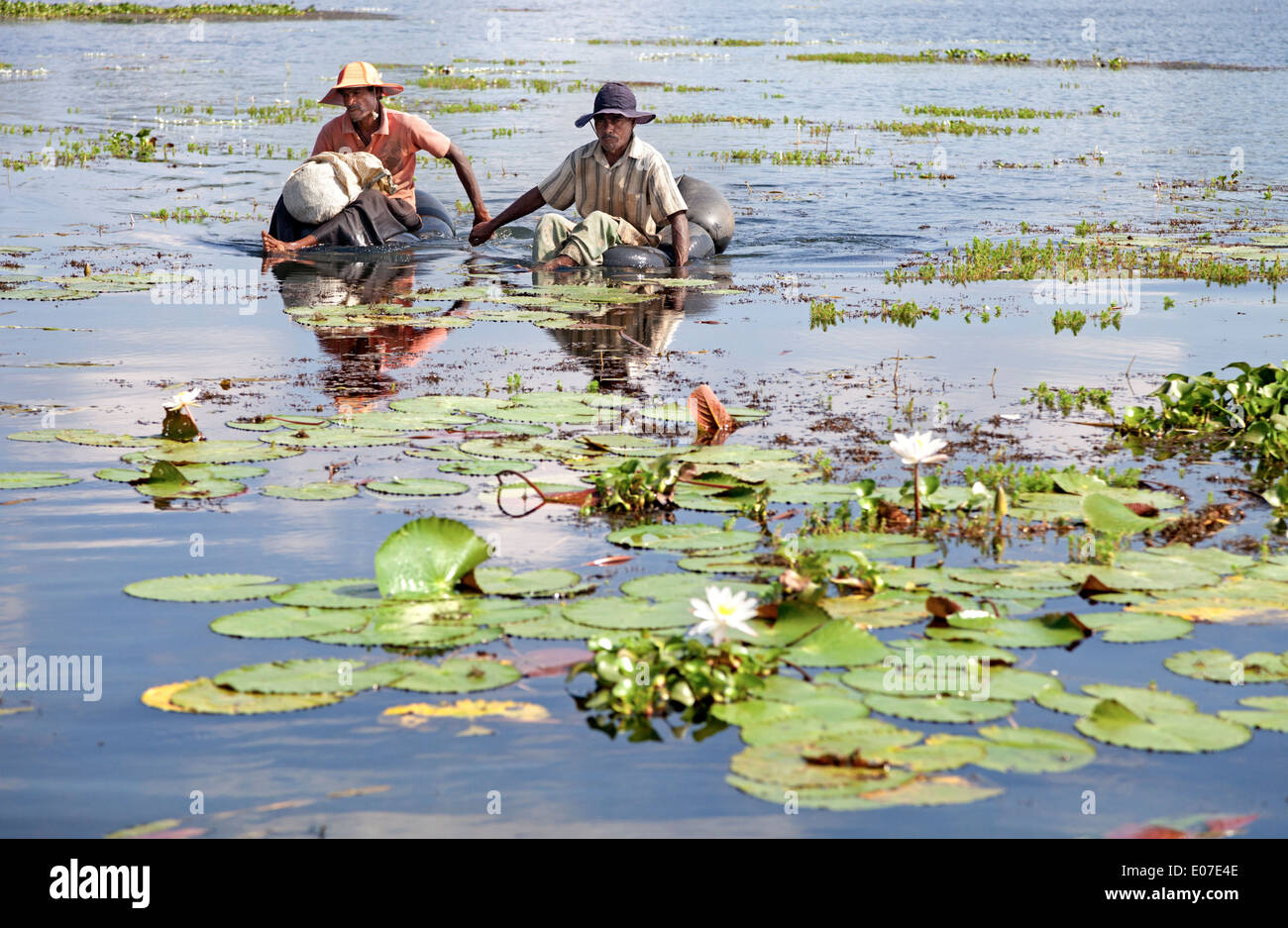 Zwei unorthodoxe Fischer paddeln in einem kleinen See in der Nähe von Dambulla, Sri Lanka 3 Stockfoto