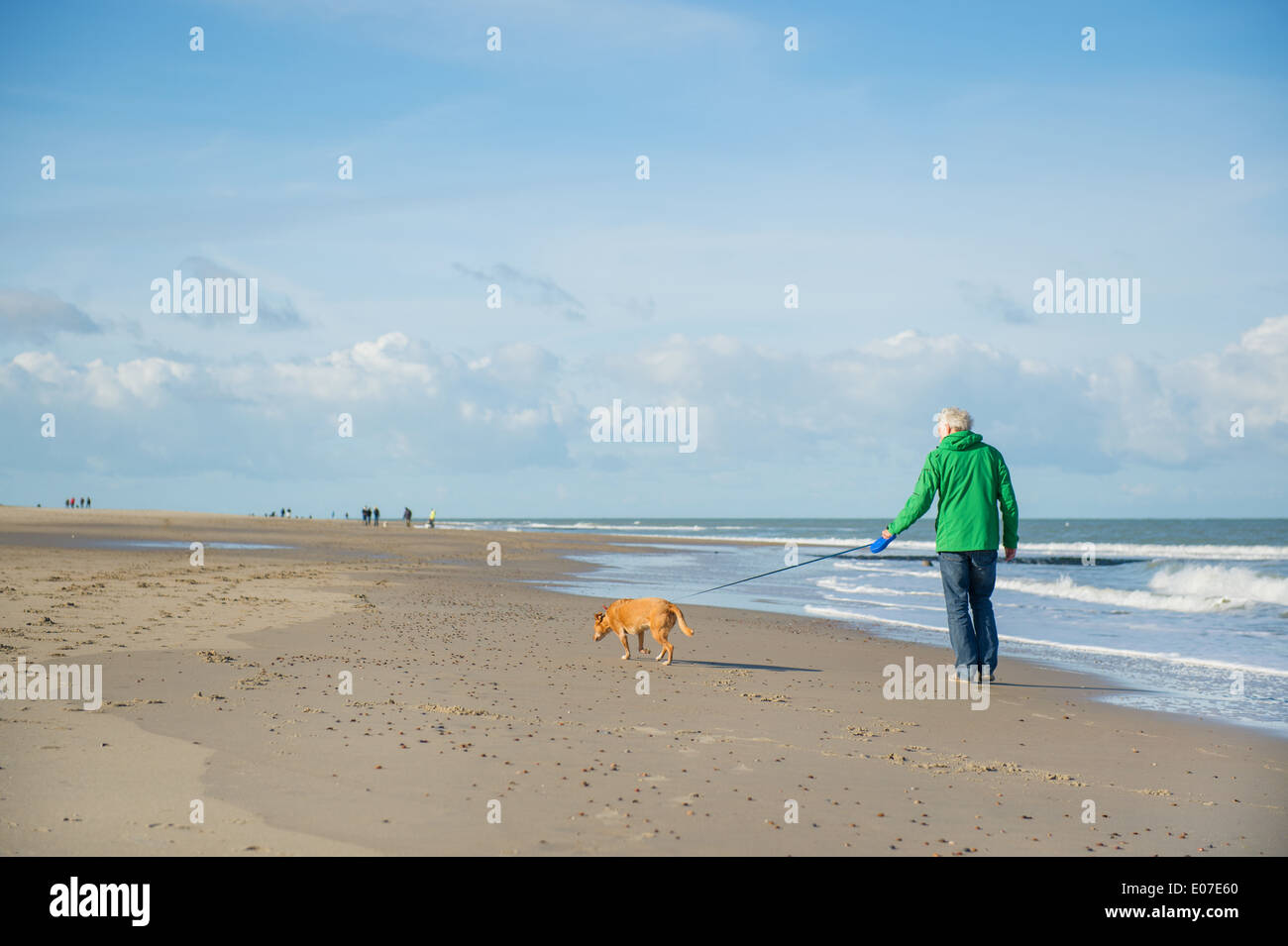 Mann mit Hund am Strand im niederländischen Renesse Stockfotografie - Alamy