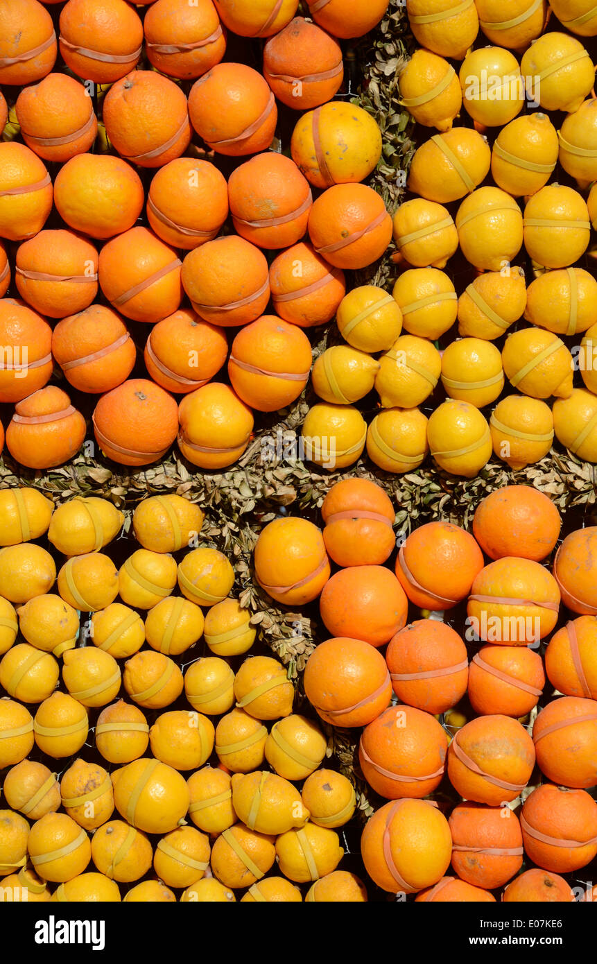 Anzeige von Orangen und Zitronen bei der jährlichen Zitrone Festival Menton France Stockfoto