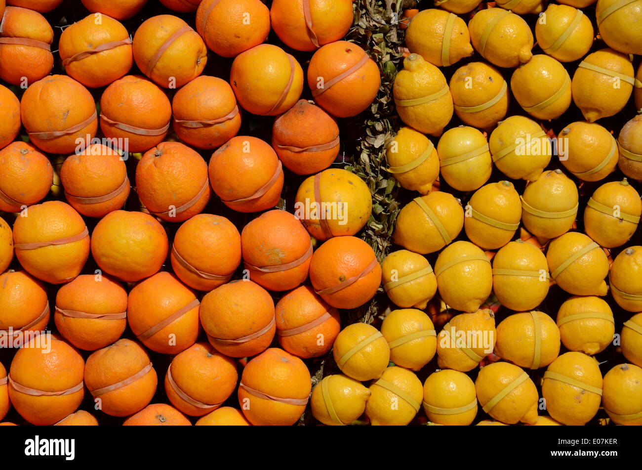 Anzeige von Orangen und Zitronen am Zitronenfest oder Fête du Citron Menton Frankreich Stockfoto