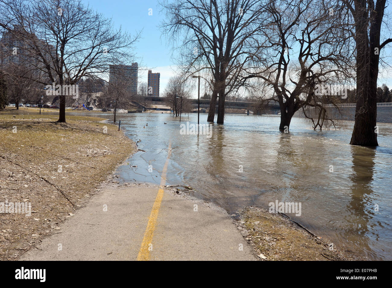 In Kanada den Fluss Themse in London - Ontario Überschwemmungen nach heftigen Regenfällen. Stockfoto
