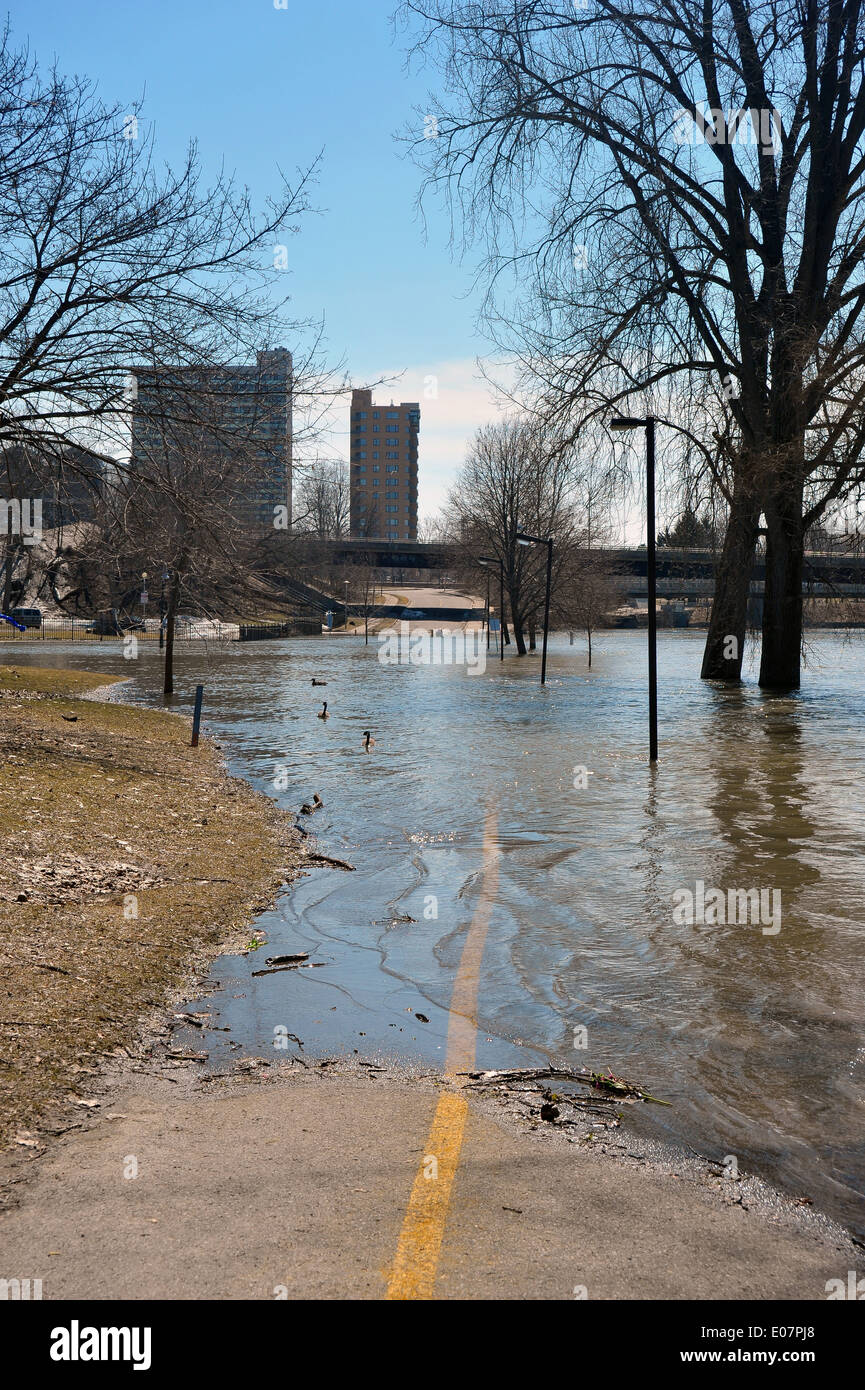 In Kanada den Fluss Themse in London - Ontario Überschwemmungen nach heftigen Regenfällen. Stockfoto