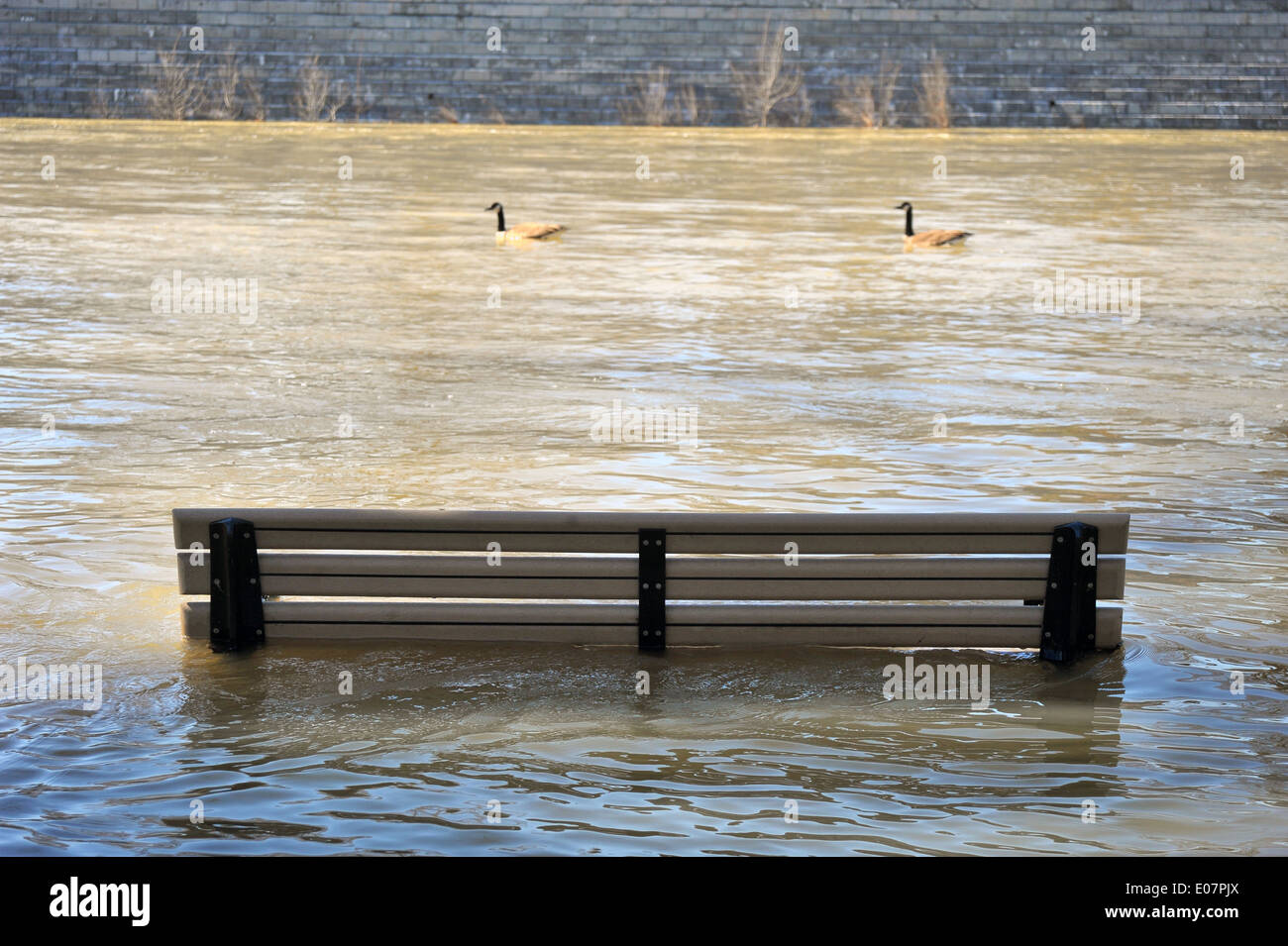 In Kanada den Fluss Themse in London - Ontario Überschwemmungen nach heftigen Regenfällen. Stockfoto