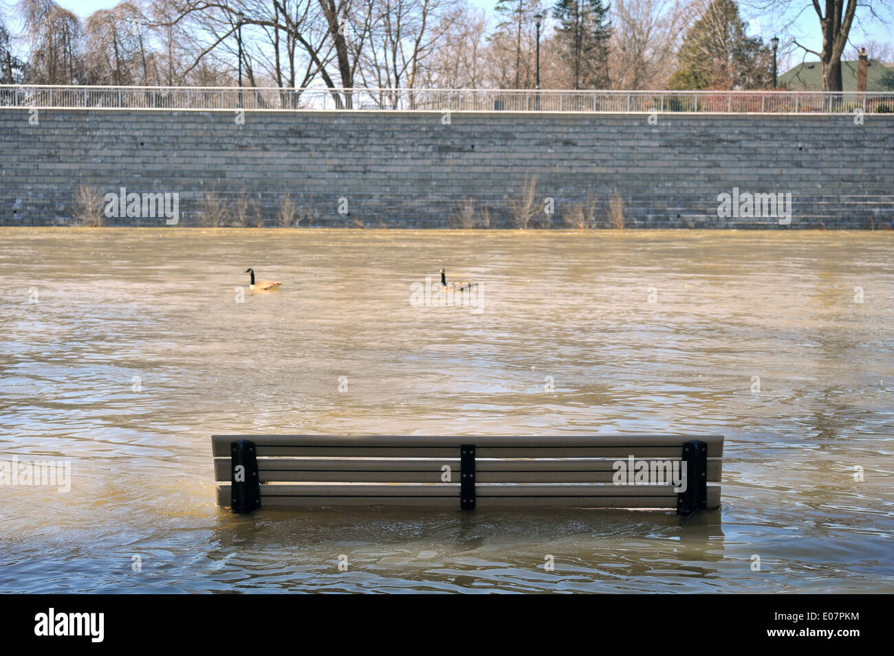 In Kanada den Fluss Themse in London - Ontario Überschwemmungen nach heftigen Regenfällen. Stockfoto