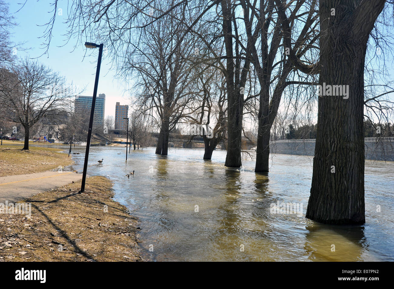 In Kanada den Fluss Themse in London - Ontario Überschwemmungen nach heftigen Regenfällen. Stockfoto