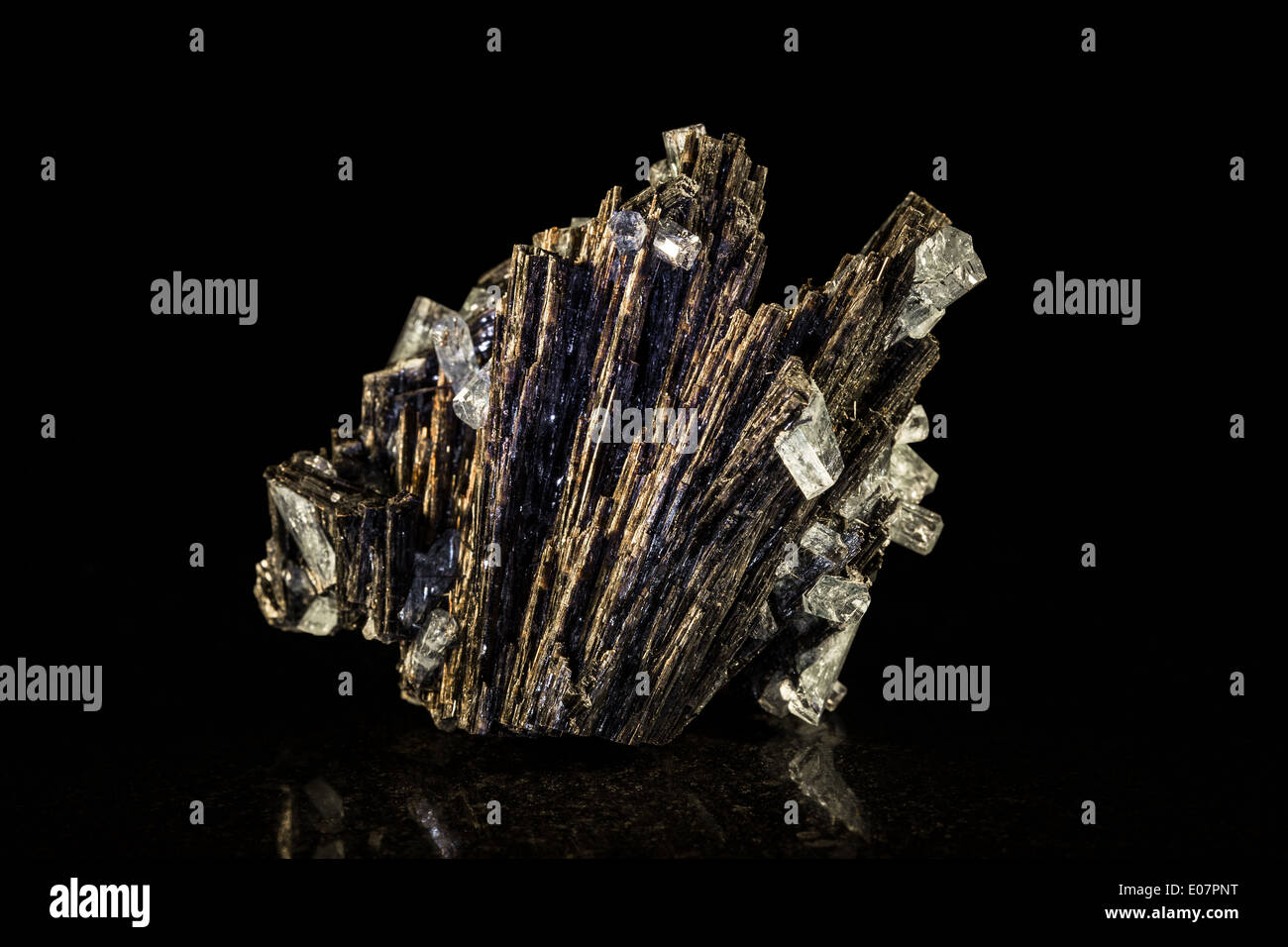 Schwarzer Turmalin ein Aquamarin Kristall vor schwarz Stockfoto