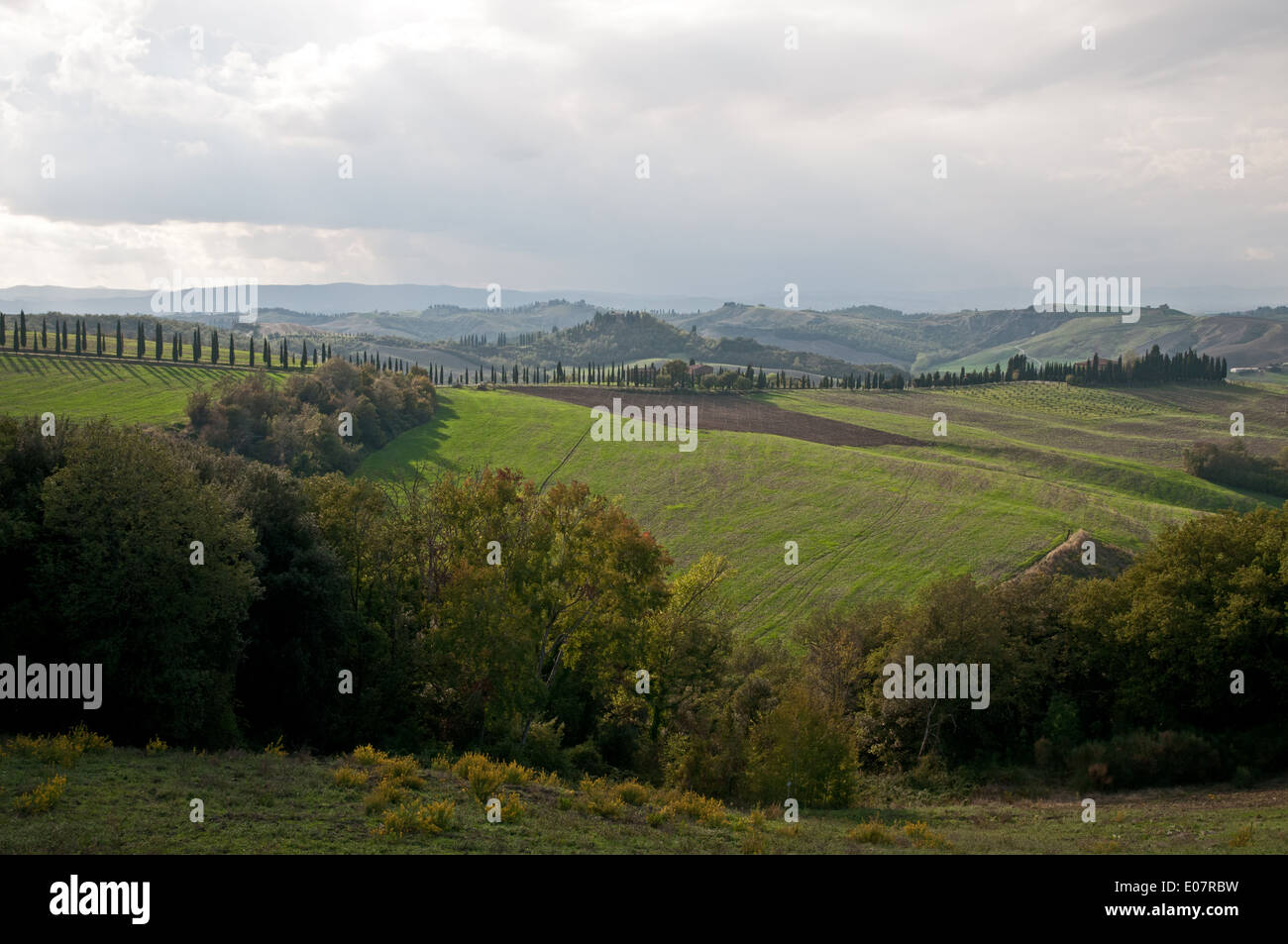 Landschaft in den toskanischen Hügeln in der Nähe von Asciano Toskana Italien Stockfoto