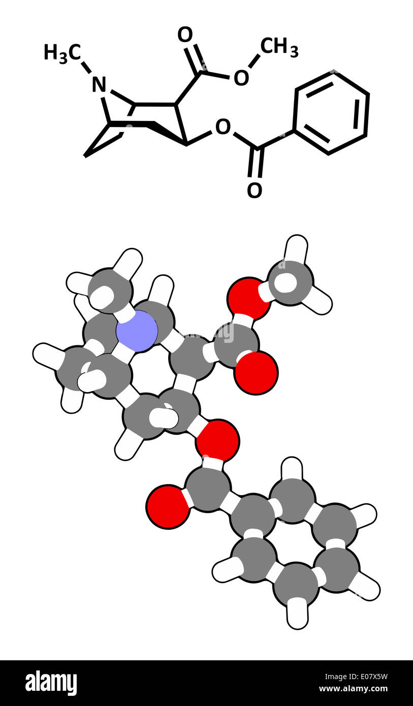 Kokain stimulierende Wirkstoffmolekül. Wie Salz oder als freie Base (Crack, Freebase) verwendet. Stockfoto