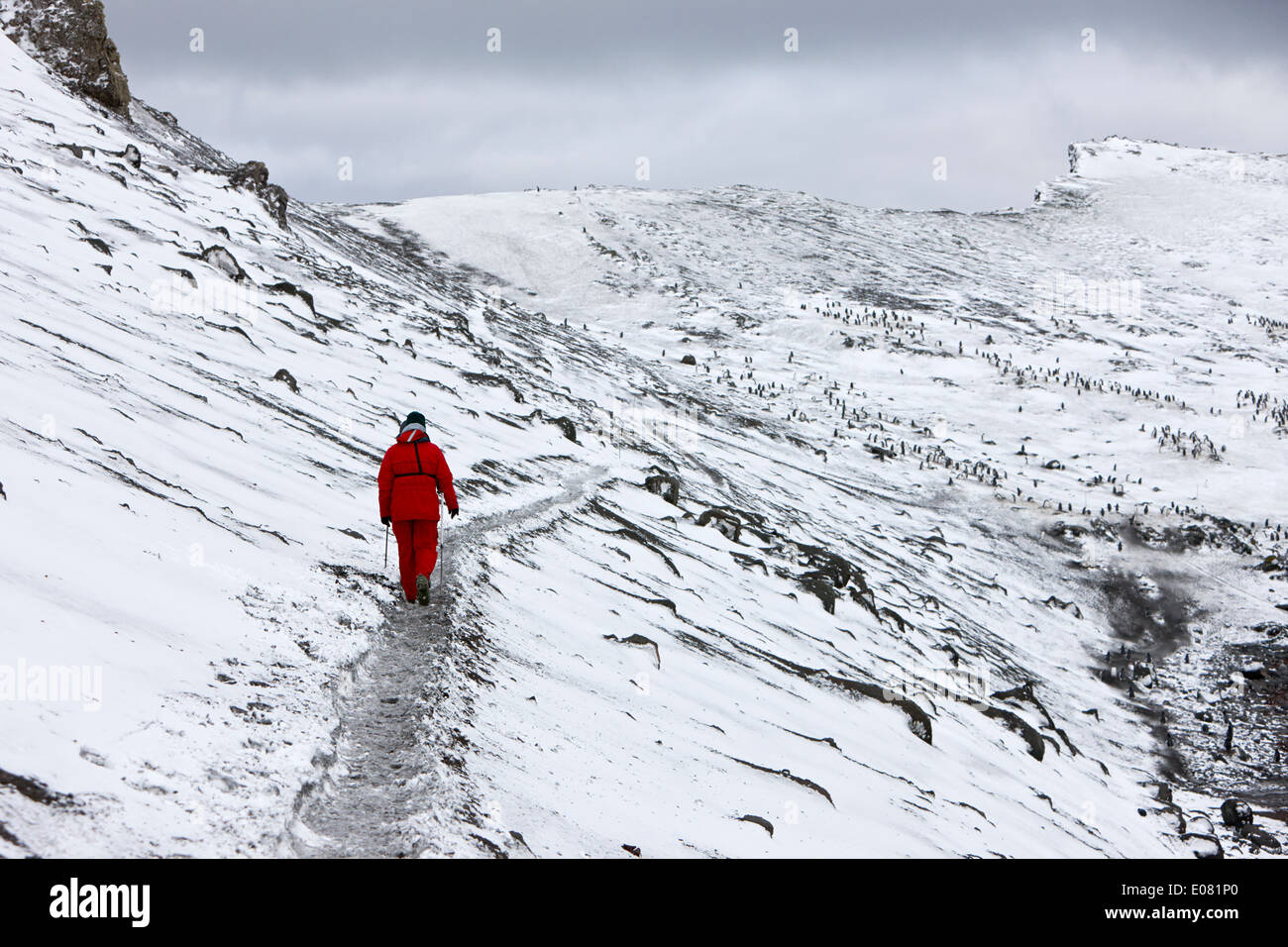 zwei Touristen zu Fuß entlang Grat auf Hannah zeigen Pinguin Kolonie Antarktis Stockfoto