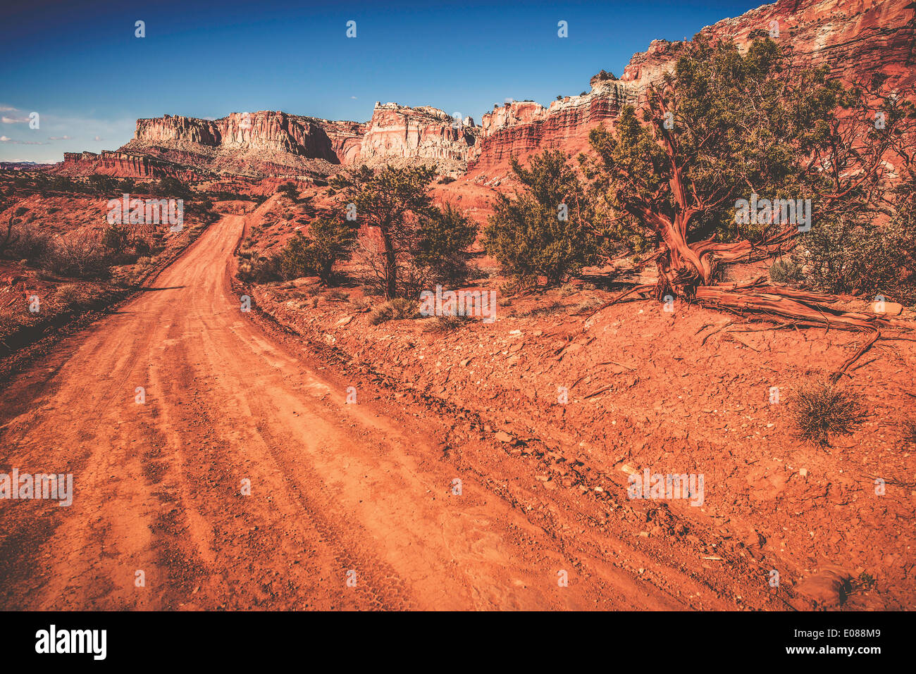 Utah Wilderness Road. Sandy Backcountry Utah Road. USA. Stockfoto