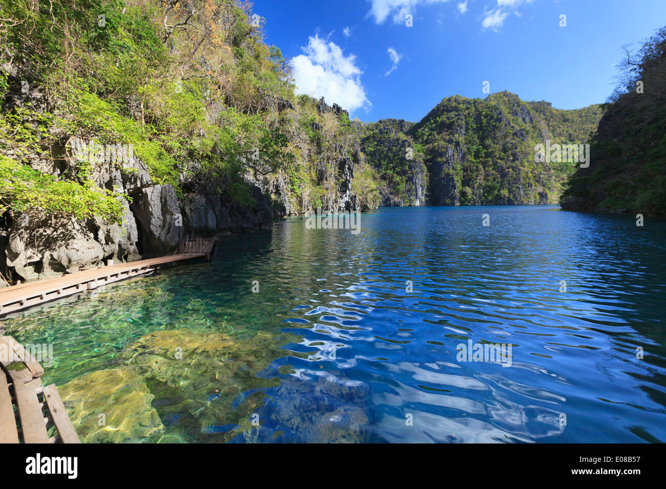 Philippinen, Palawan, Coron Island, Kayangan See Stockfoto
