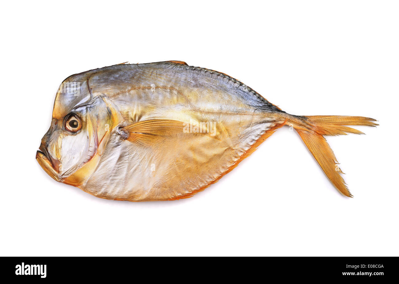 Geräucherte Moonfish isoliert auf weiss Stockfoto