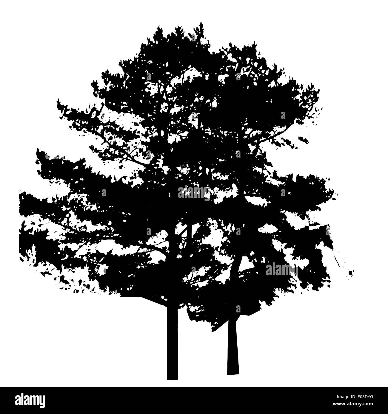 Baum-Silhouette isoliert auf weißem Migrationshintergrund. Vecrtor Illustration Stockfoto