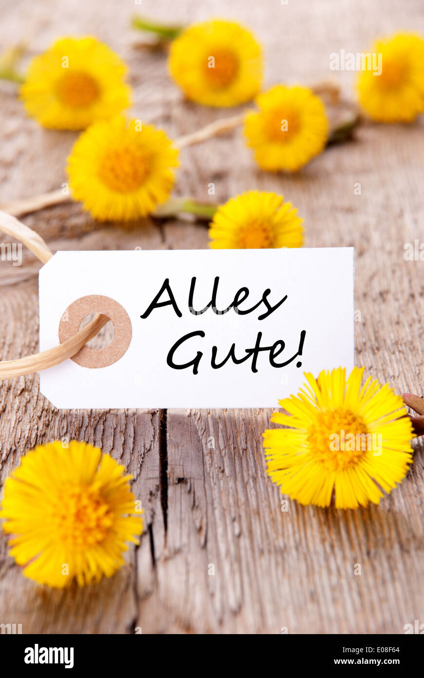 Tag mit der deutschen Worte Alles Gute das heißt Herzlichen Glückwunsch und gelbe Blumen Stockfoto