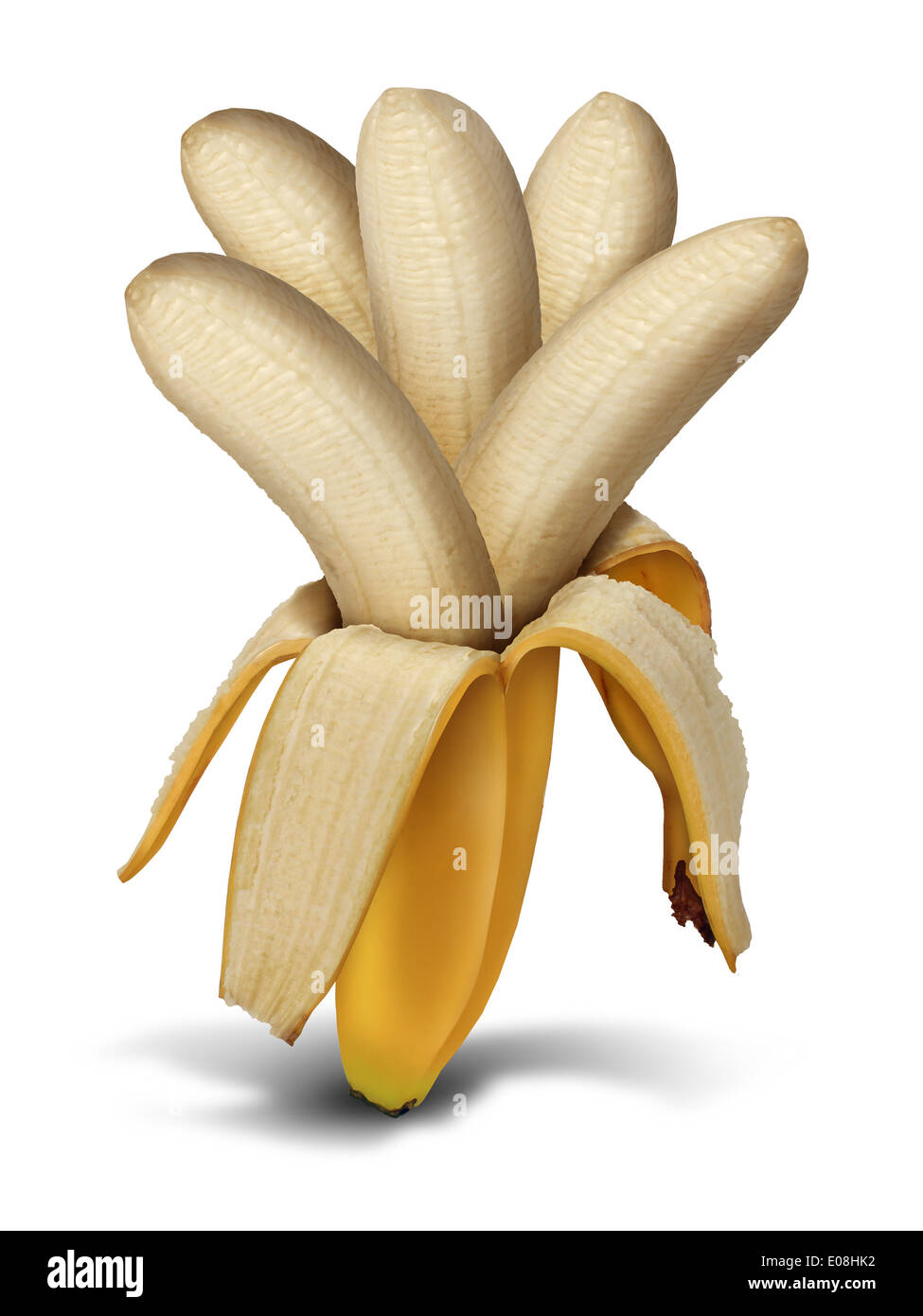 Steigerung Produktionskonzept und Ernte ergeben als Landwirtschaft Lebensmittel Entwicklung Symbol als offene geschälte Banane mit einer Gruppe von mehreren Fruchtfleisch als Metapher für Gewinne zurück und Zinsen und Zinseszinsen Ergebnis wächst. Stockfoto