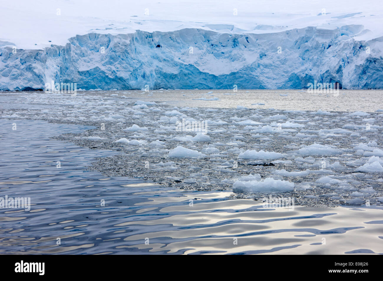 dreiste Meereis vor Gletscher Wand Gesicht Port Lockroy Antarktis bilden Stockfoto