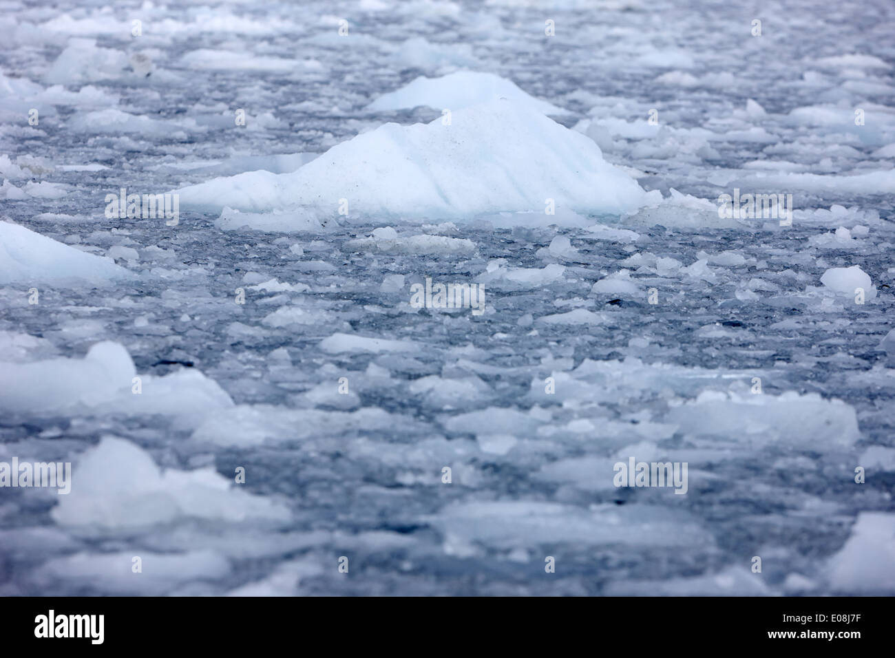 dreiste Meer Eis bilden Winter schließen in der Antarktis Stockfoto