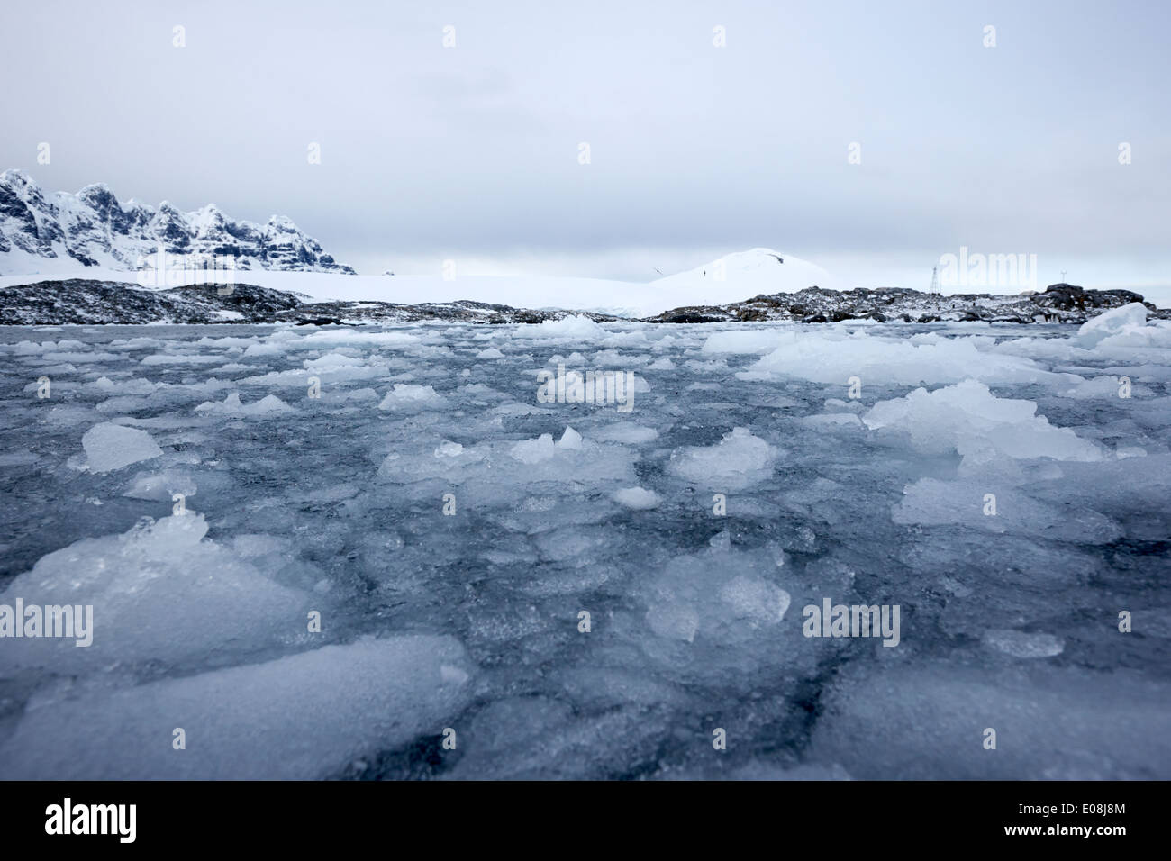 dreiste Meer Eis bilden Winter schließen in Port Lockroy Antarktis Stockfoto