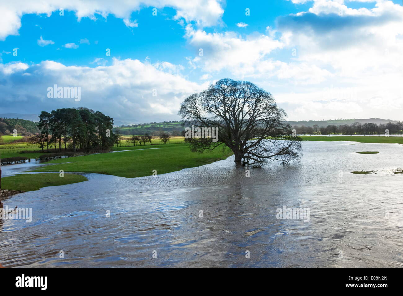 Hochwasser, River Eden, Eden Valley, Cumbria, England, Vereinigtes Königreich, Europa Stockfoto