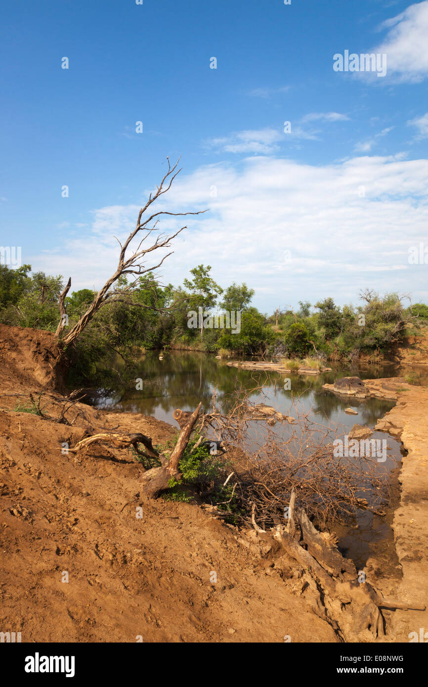 Groot Marico Fluss in Madikwe Wildreservat, Nord-West Provinz, Südafrika, Februar 2014 Stockfoto
