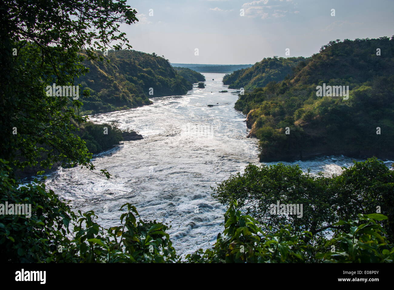 Murchison Falls, auch bekannt als Kabarega Falls am Nil, Murchison Falls National Park, Uganda, Afrika Stockfoto