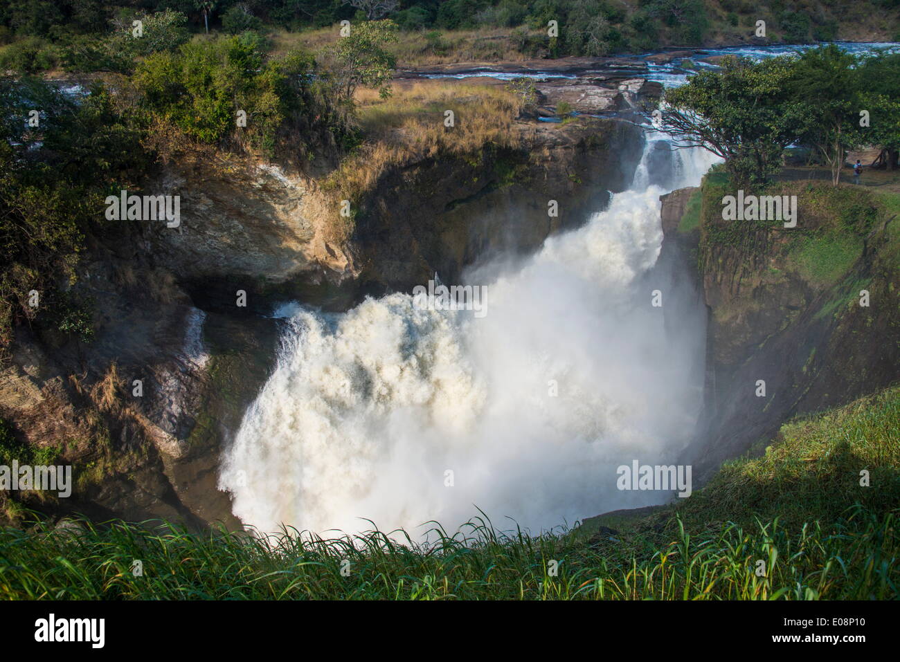 Murchison Falls (Kabarega Falls) am Nil, Murchison Falls National Park, Uganda, Ostafrika, Afrika Stockfoto