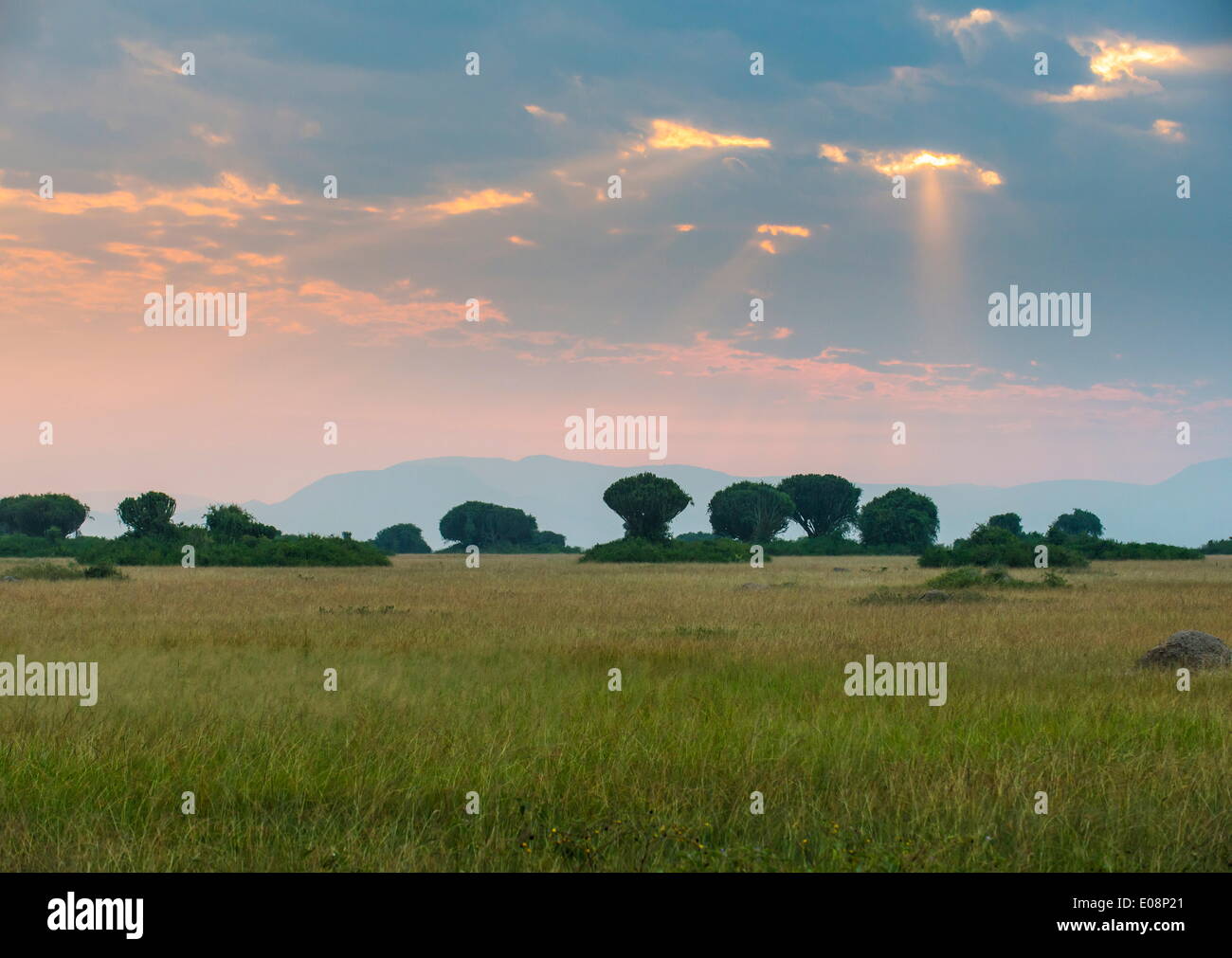 Sonne bricht durch die Wolken, Queen Elizabeth National Park vor dem Ruwenzori-Gebirge, Uganda, Ostafrika, Afrika Stockfoto