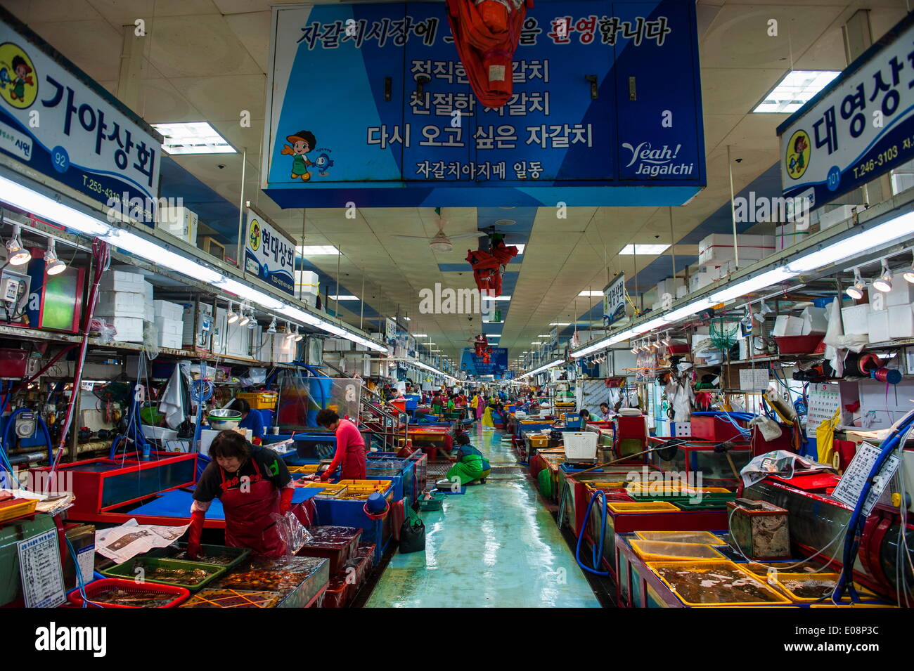 Fisch zum Verkauf an den modernen Fischmarkt in Busan, Südkorea, Asien Stockfoto