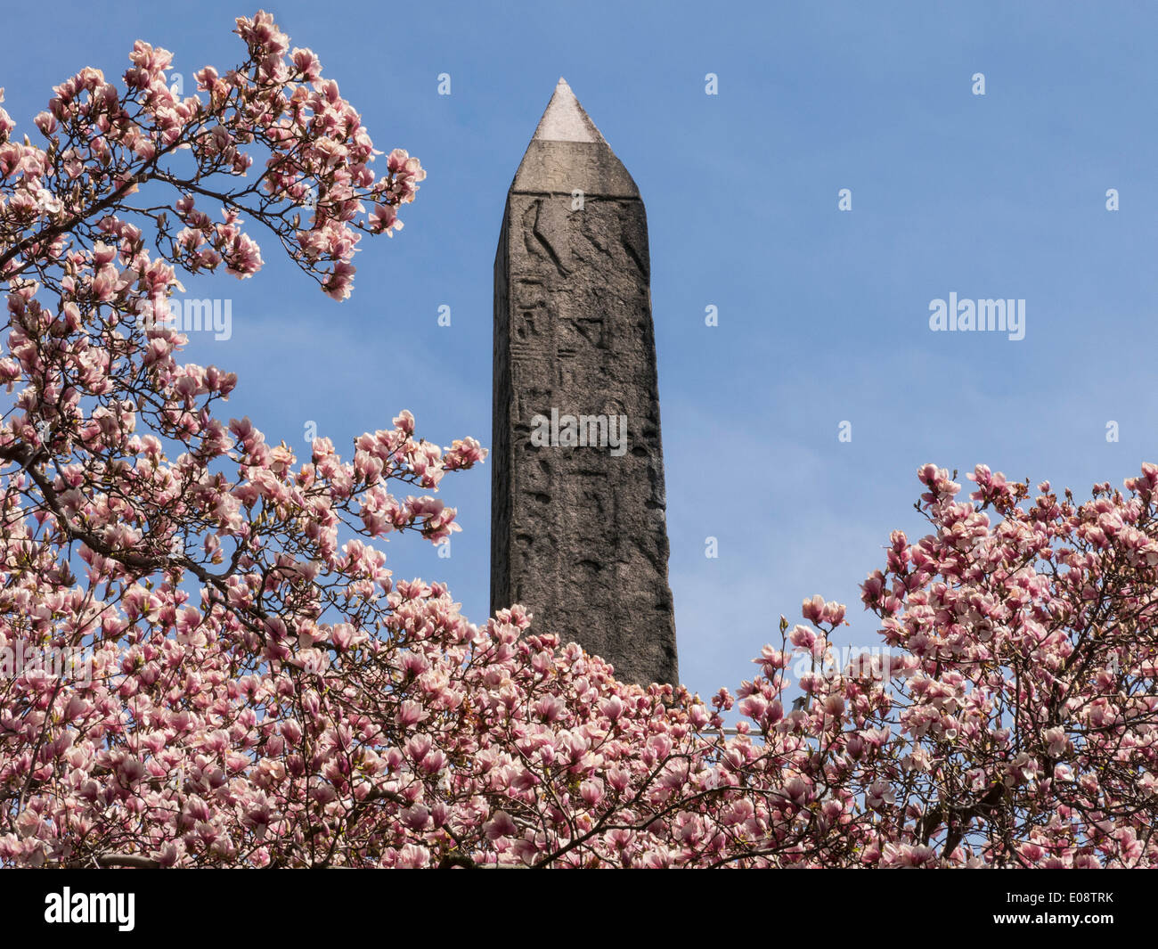 Kleopatras Nadel Obelisk, Central Park, New York, USA Stockfoto