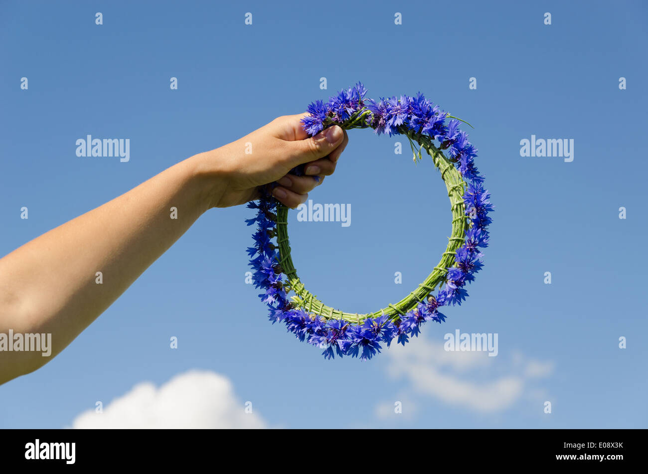 weibliche Hand halten Sommer schöne Kornblume Krone im blauen Himmelshintergrund Stockfoto
