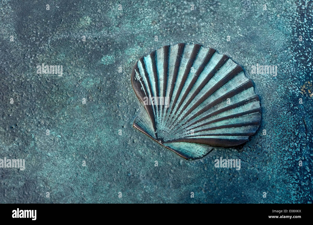 Bronze-Shell in relief Stockfoto